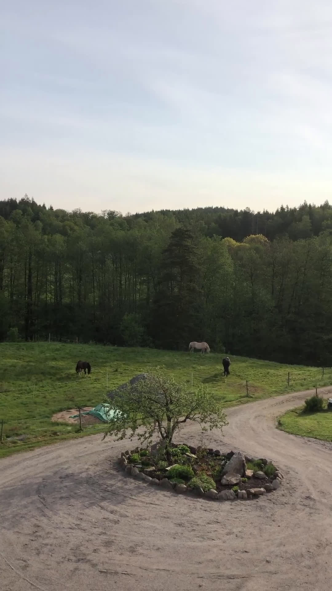  stallplats finnes: Lösdrift med flera Ligghallar - Video 1