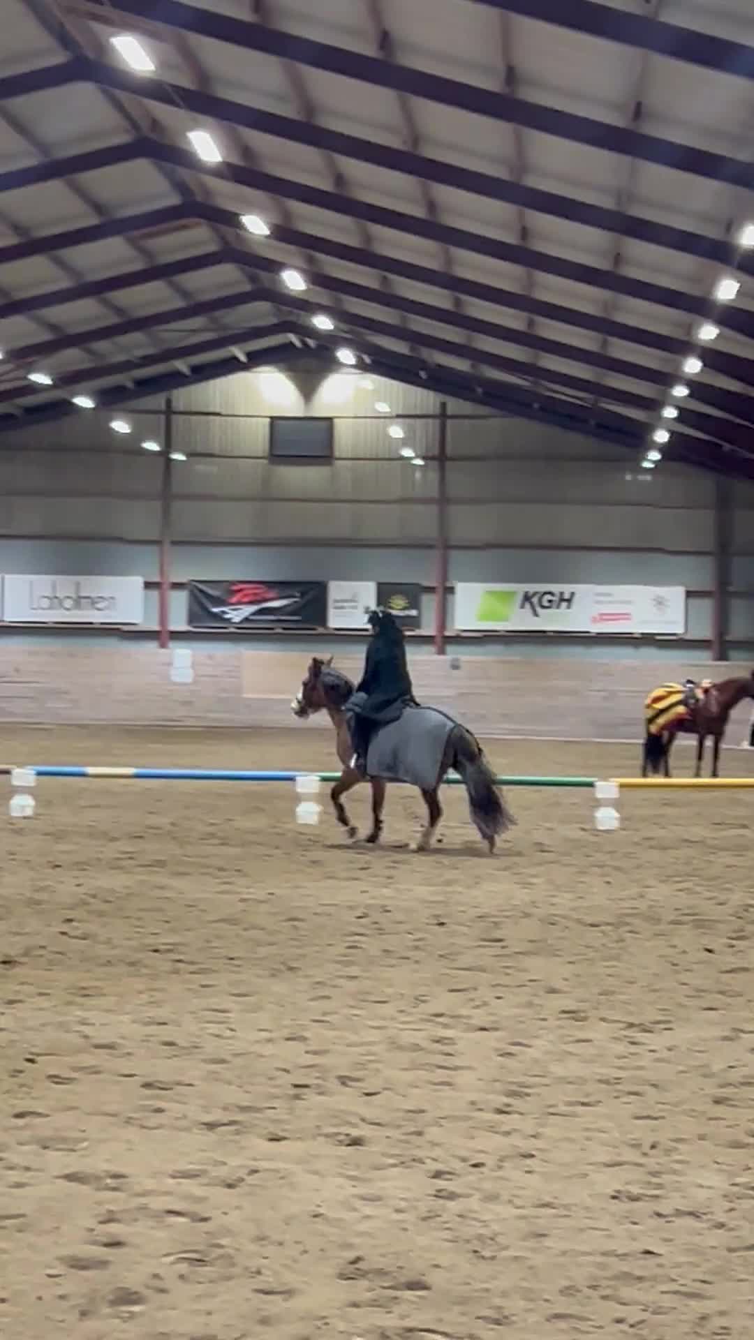 Allround hästar till salu: Ponny med stor potential - Video 4
