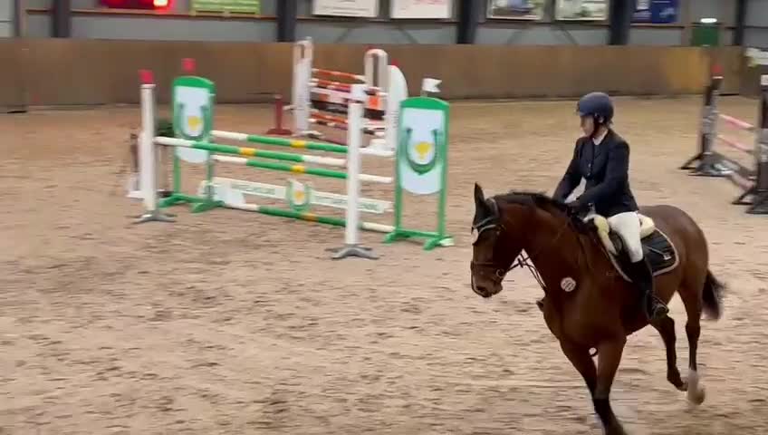 Avelshästar hästar till salu: Fint sto till avel i Kågeröd - Video 1