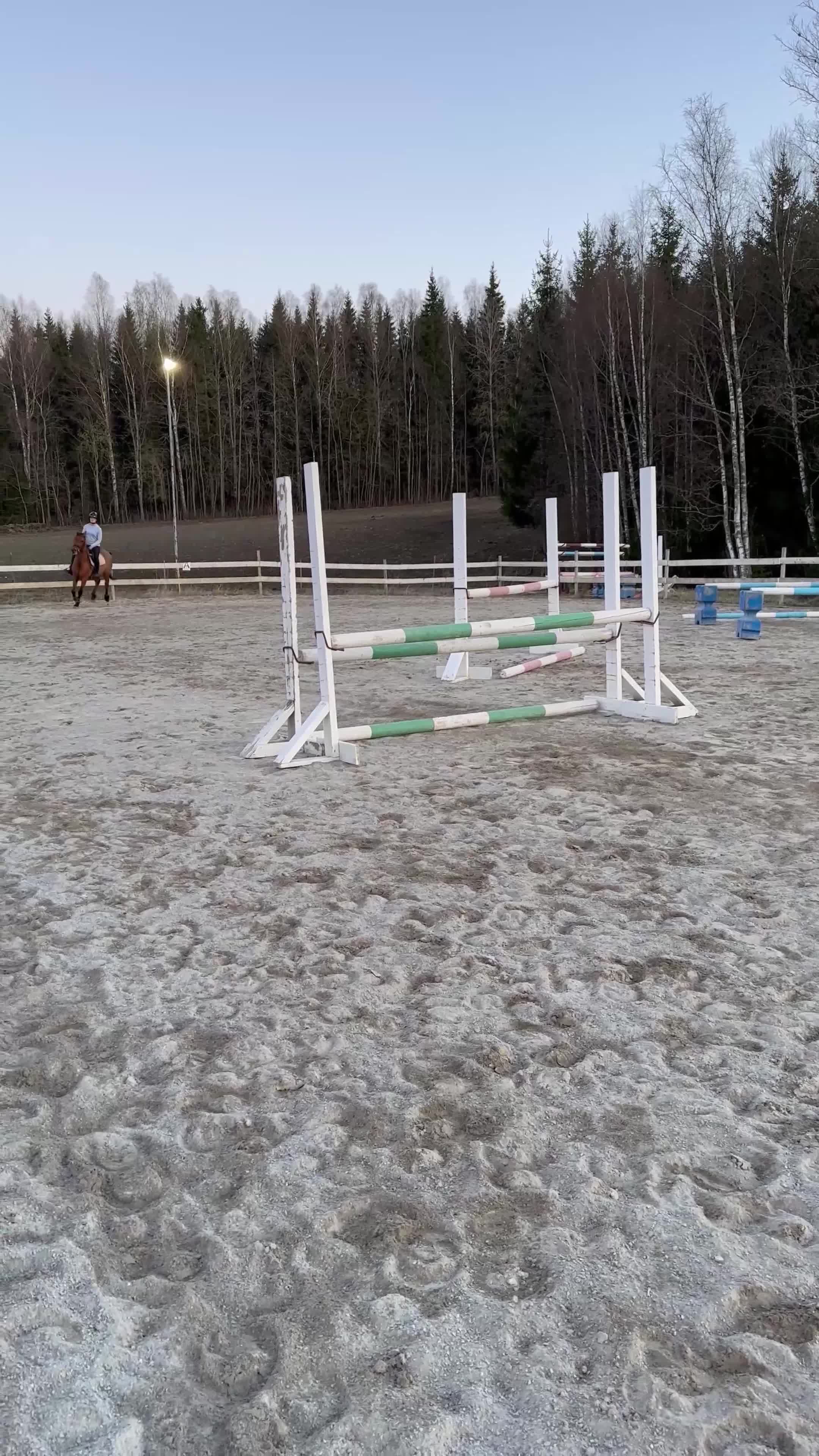 Allround hästar till salu: Ponnyn med ett hjärta av guld - Video 1
