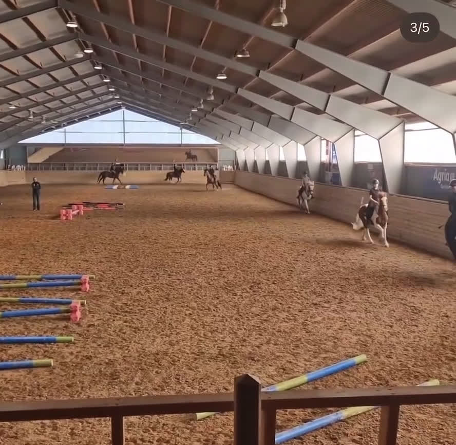 Allround hästar till salu: Vackert sto med potential  i Vikingstad - Video 2