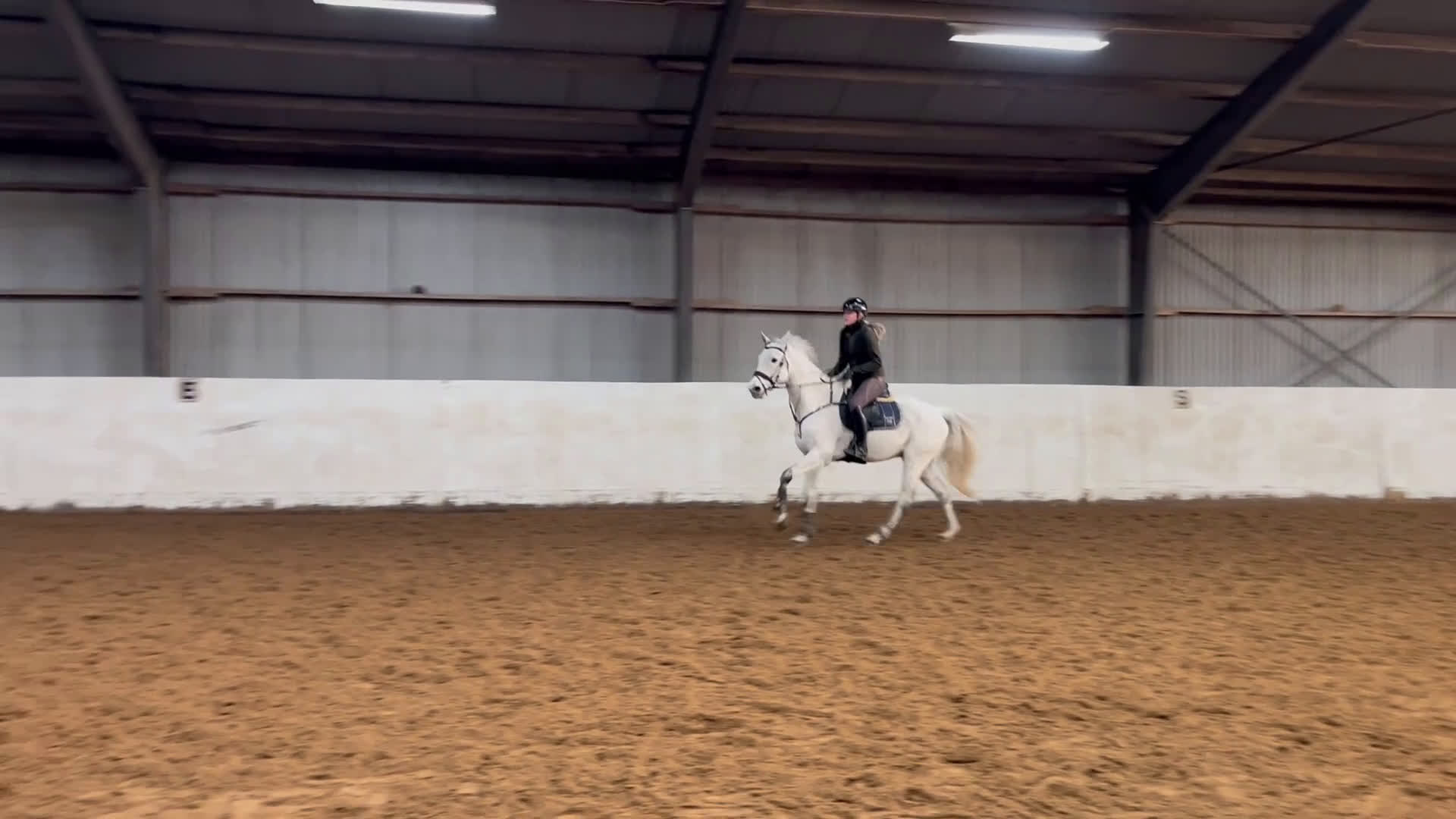 Allround hästar till salu: LÄROMÄSTARE/ YOUNG RIDER i Ekeby - Video 1