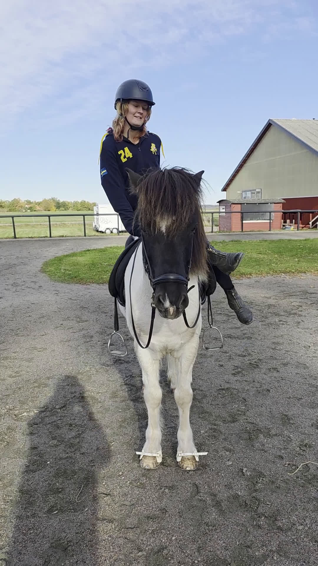 Island hästar till salu: Jupiter från Ishant i Skänninge - Video 1