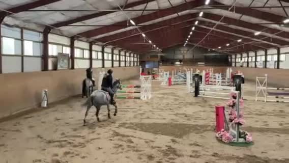 Hoppning hästar till salu: Fantastisk maxad D ponny - Video 2