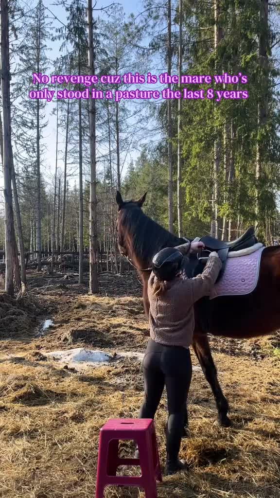 Allround hästar till salu: Sia söker sin nya person i Lakene - Video 2