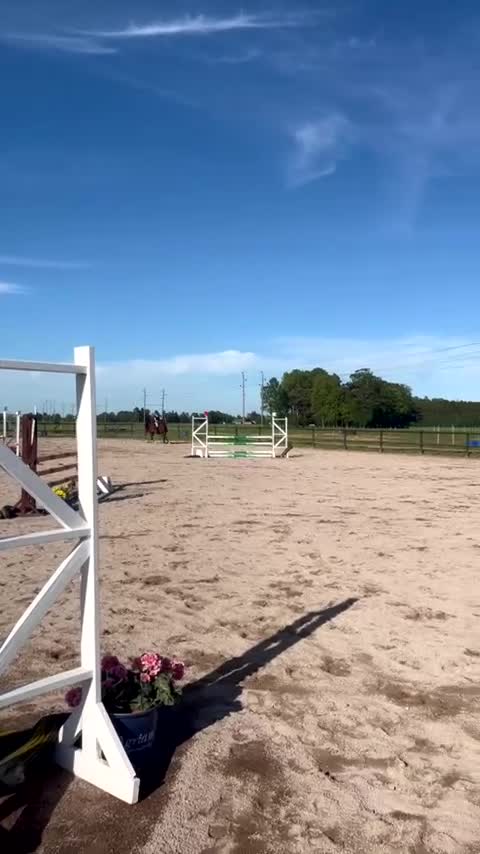 Allround hästar till salu: Lyxig hobbyhäst  - Video 3