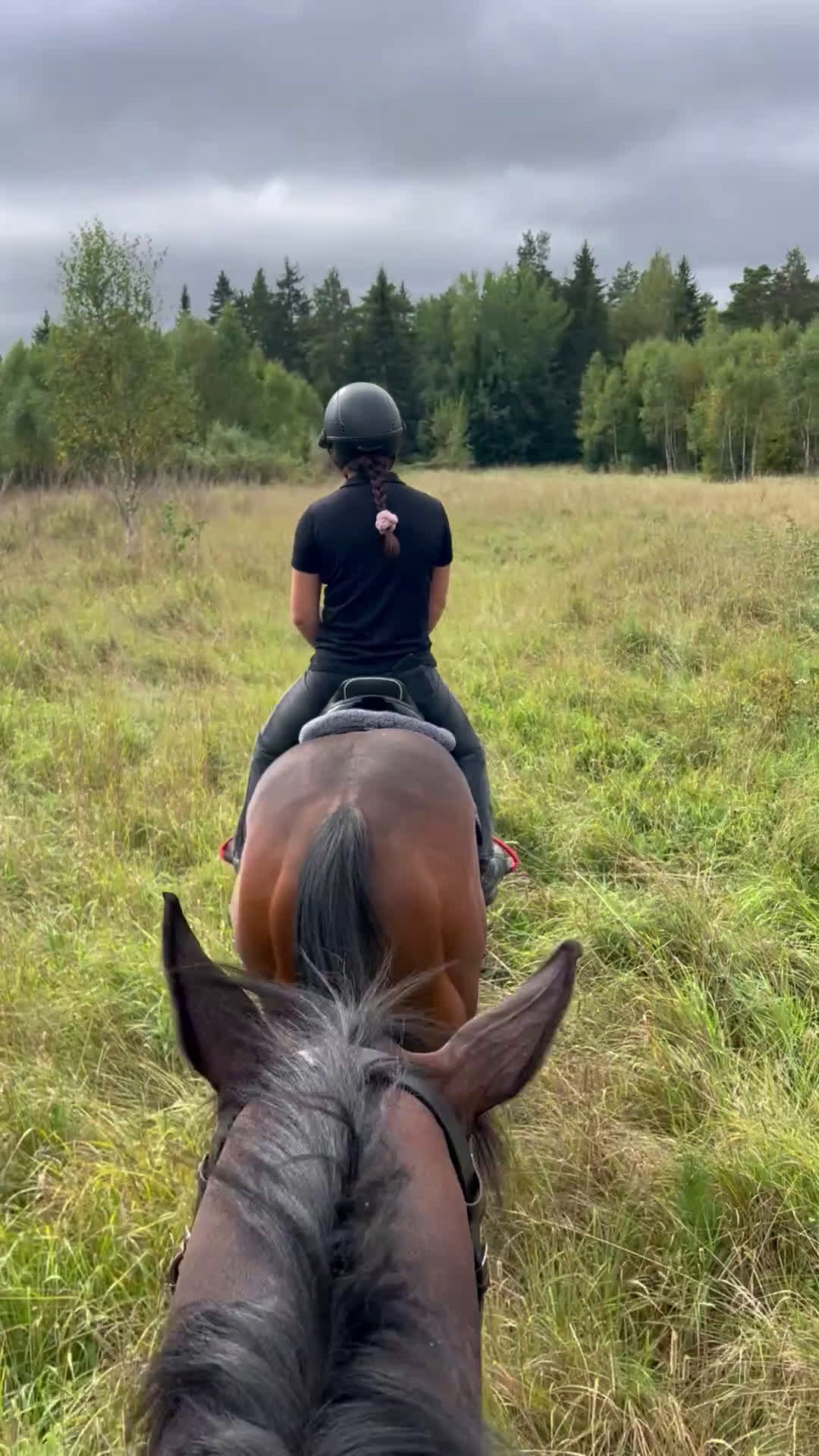 Fälttävlan hästar till salu: Atletiskt fullblodskille med fart och glöd i Enköping - Video 2