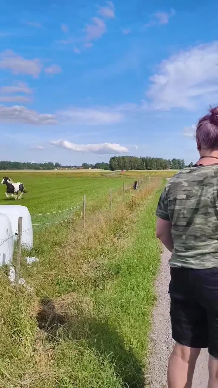  medryttarhäst finnes: Liten medryttare sökes! i Kvänum - Video 1