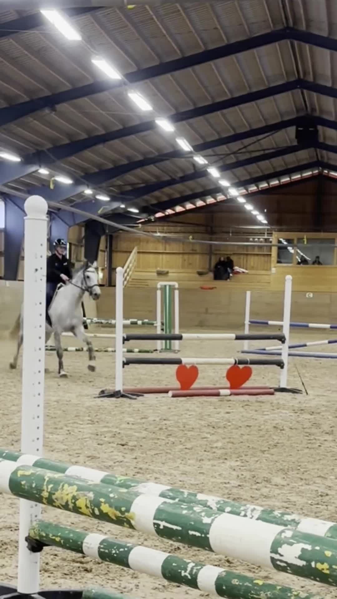 Hoppning hästar till salu: Hoppsto för den sattsande - Video 1