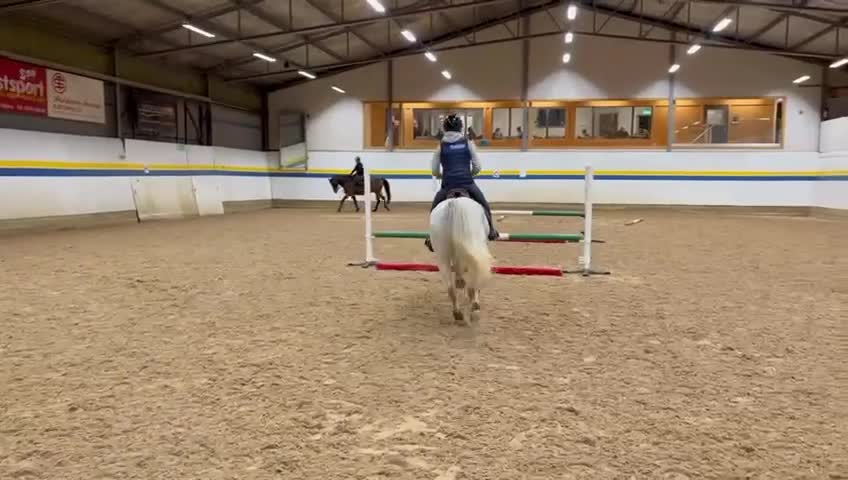 Allround hästar till salu: Charmig kille med hjärta av guld!💙🚀 i Varberg - Video 3