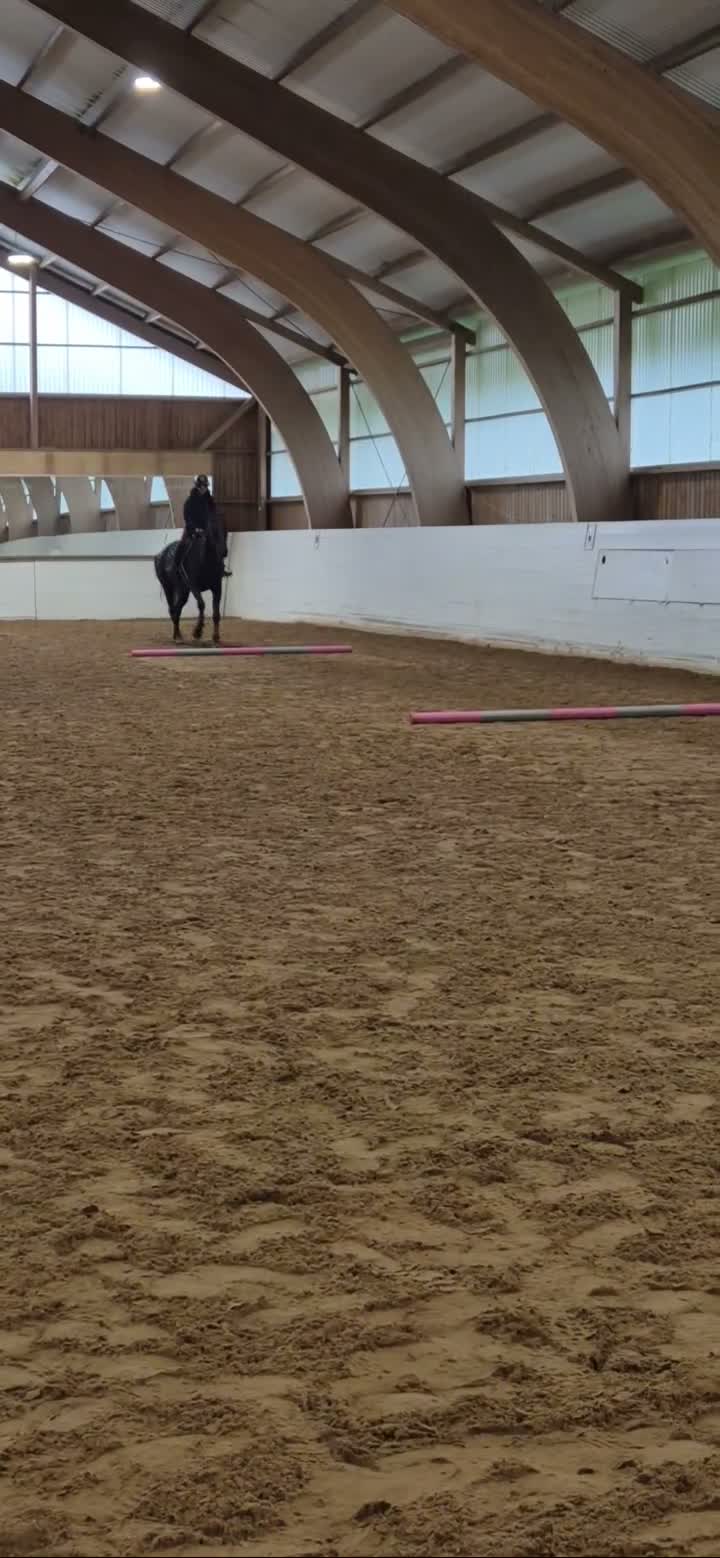 Hoppning hästar sökes: Söker häst att köpa till sommaren i Avesta - Video 2