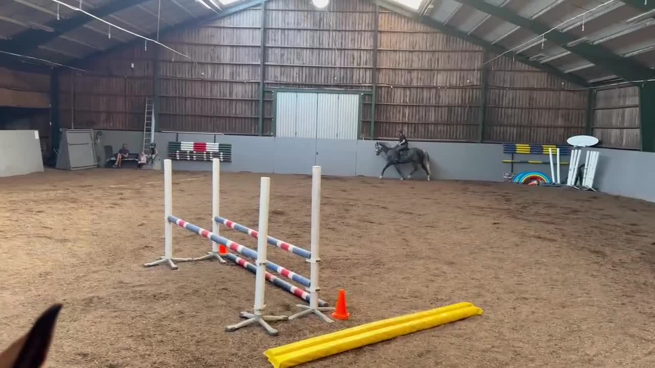 Allround hästar till salu: En oslipad diamant med hoppstam - Video 2