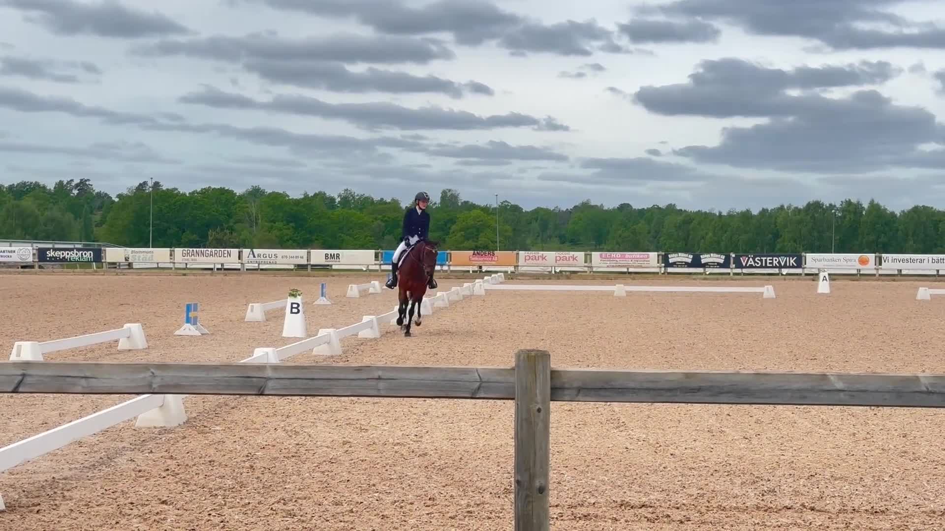 Dressyr hästar till salu: Älskad C-ponny med kvalitet och personlighet 🌟 - Video 1