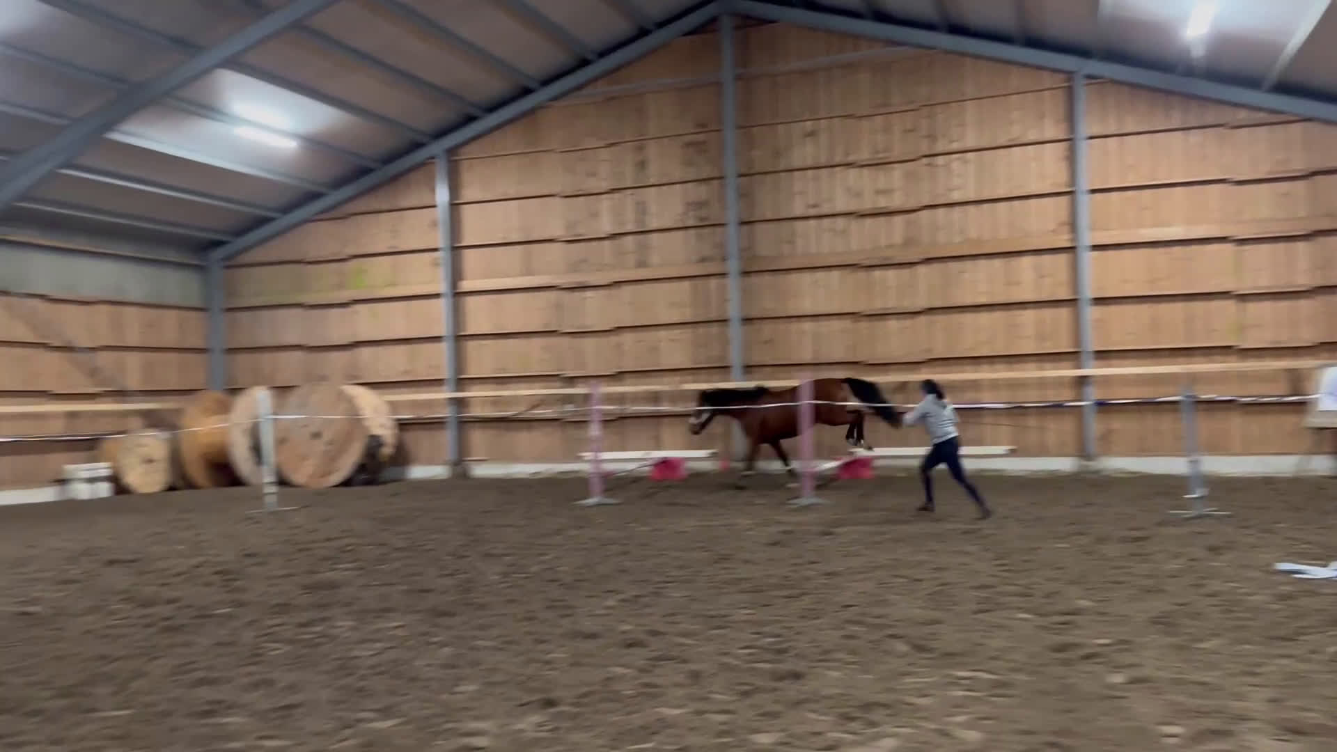 Hoppning hästar till salu: Din nästa stjärna? i Strömsnäsbruk - Video 1