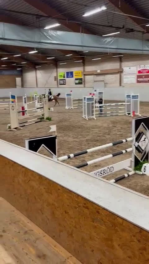 Hoppning hästar till salu: Hopphäst  i Säve - Video 2