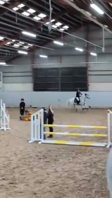 Hoppning hästar till salu: Genomsnäll ponny med kapacitet! - Video 2