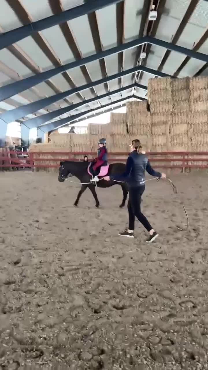 Allround hästar till salu: En fantastisk barnponny som alltid gör sitt bästa! - Video 1