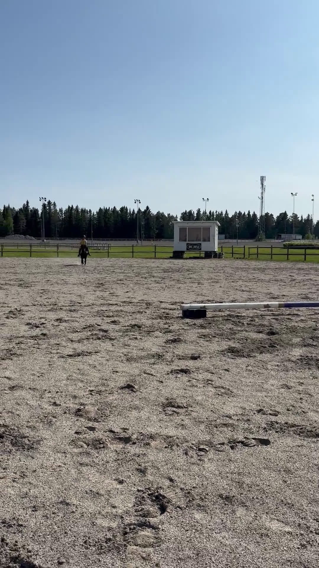 Övrigt hästar till salu: Samarbetsvillig och sällskaplig shettis❤️ - Video 1