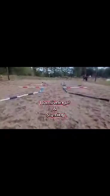  medryttarhäst finnes: Medryttare sökes ! till barnPonny  i Blekinge i Karlshamn - Video 2