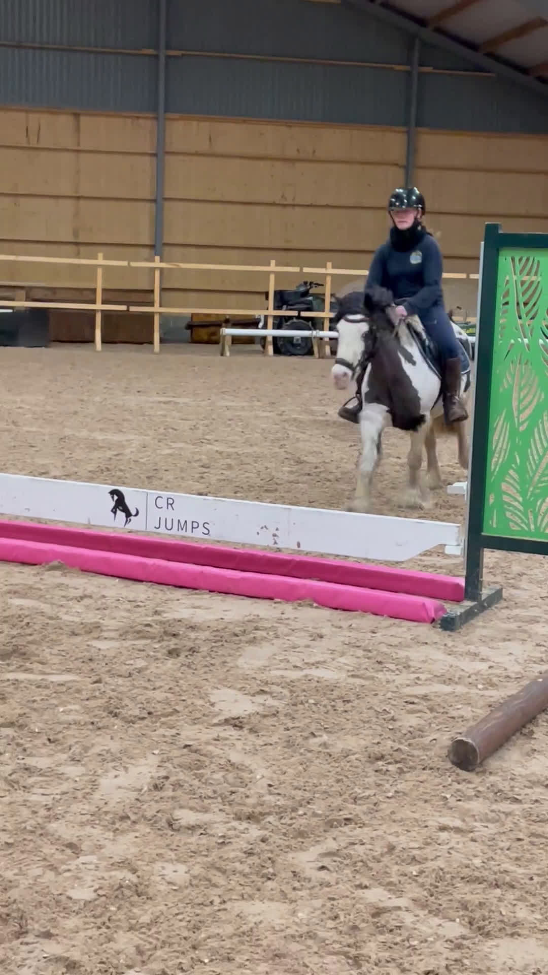 Allround hästar till salu: Superfin ungponny för framtiden! i Arboga - Video 2