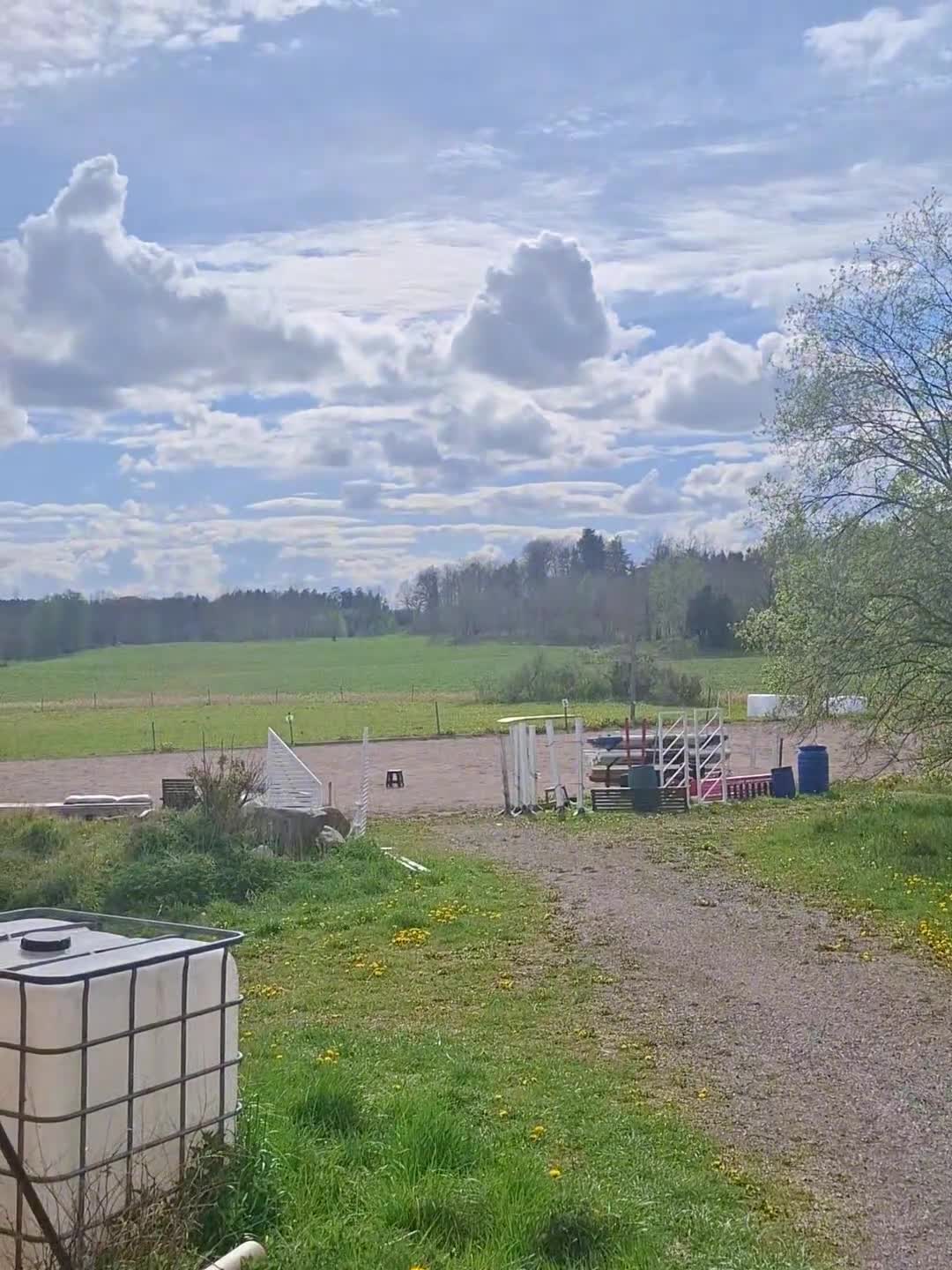 Hoppning hästar till salu: Hoppglad häst för rutinerad ryttare - Video 1