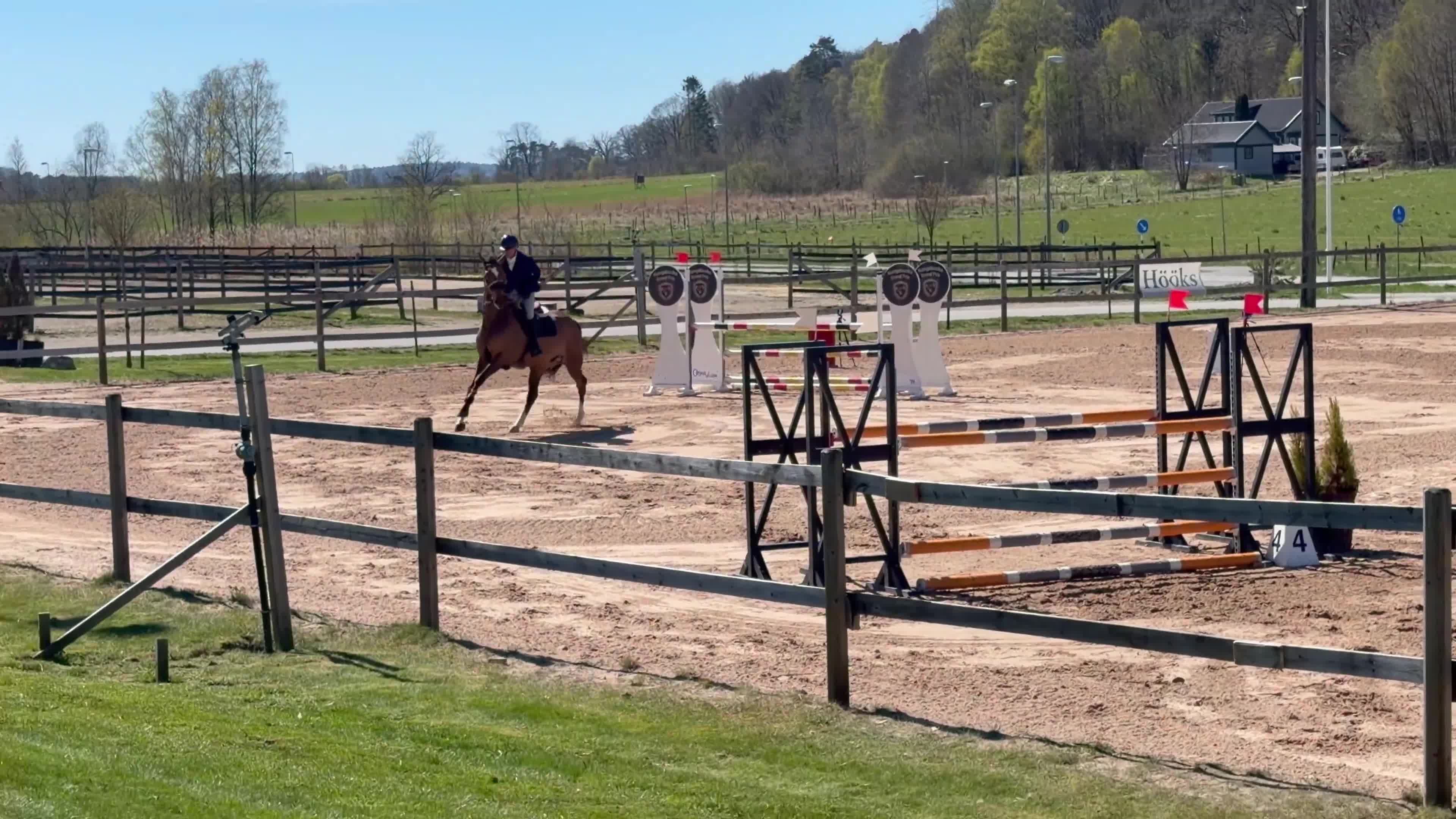 Hoppning hästar till salu: Välstammat sto - Video 1