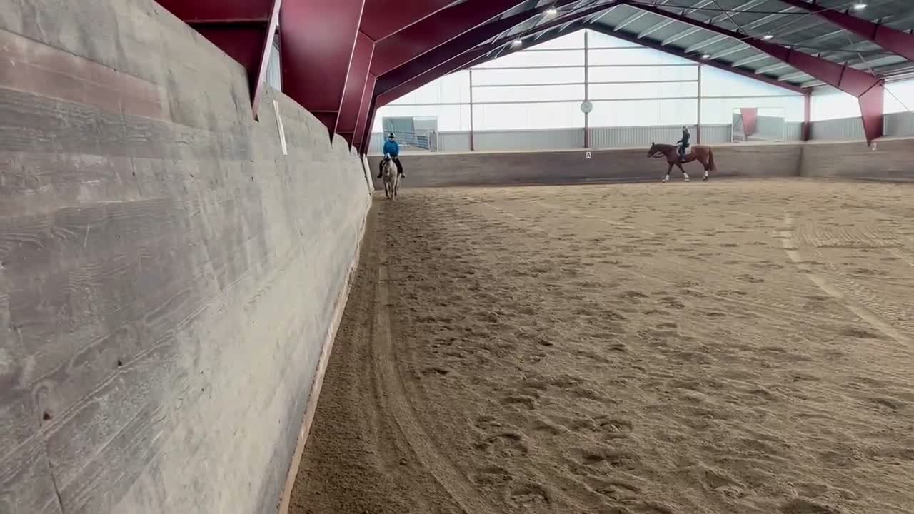 Allround hästar till salu: Fjordvalack till salu om rätt hem dyker upp i Örebro - Video 3