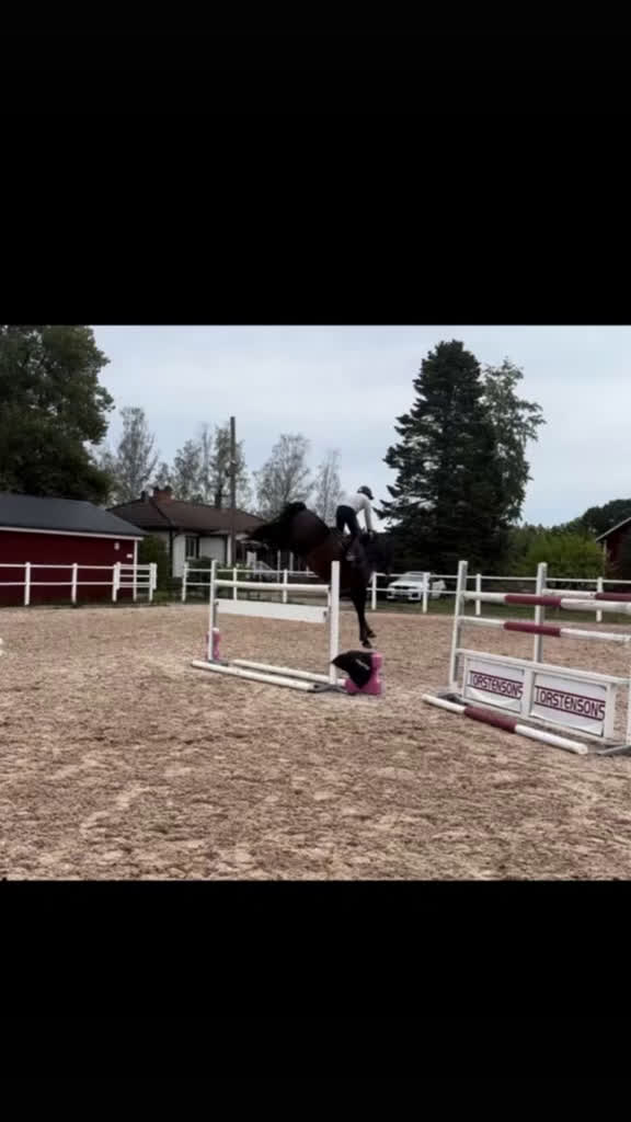 Hoppning hästar till salu: Häst för de allra högsta !  i Sala - Video 1