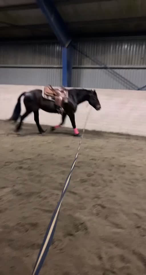 Sadlar hästutrustning till salu: Western sadel  i Alingsås - Video 2