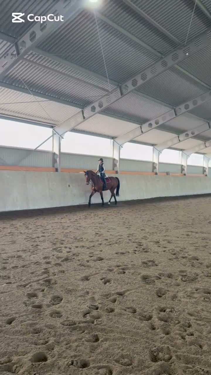 Allround hästar till salu: 7-årigt sto med power, personlighet och potential - Video 1