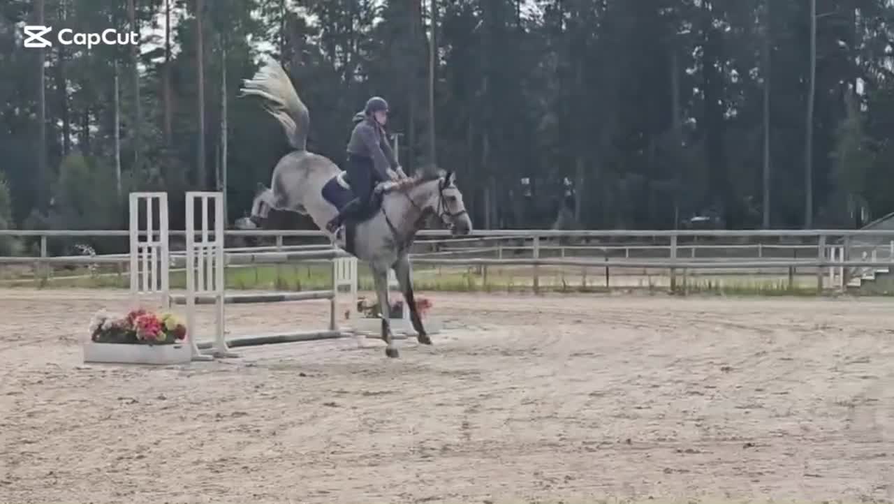  hästjobb finnes: Catchrider / Tävling / utbildning  - Video 3