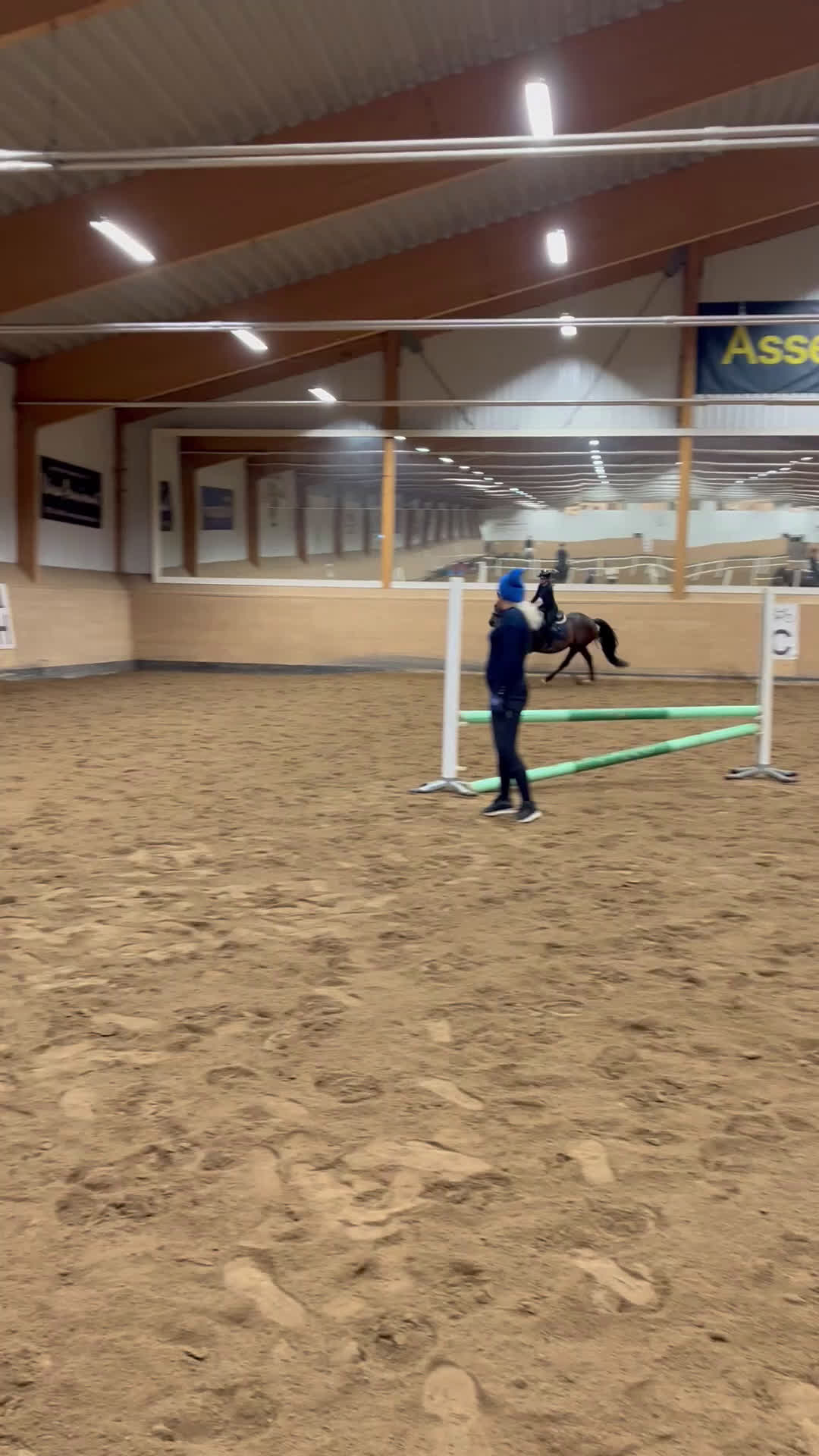 Allround hästar till salu: Världens finaste kille - Video 2