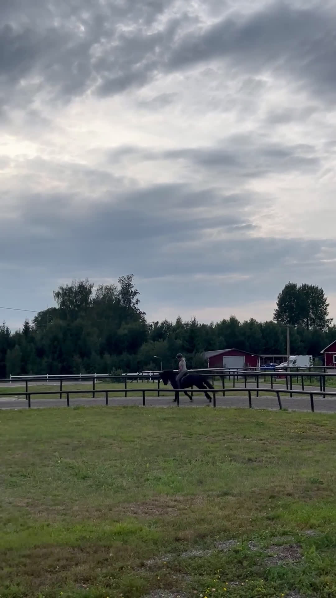 Island hästar till salu: Flott valack i Rengsjö - Video 3
