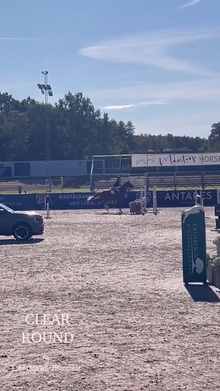 Hoppning hästar till salu: Framtidslöfte  i Västervik - Video 1