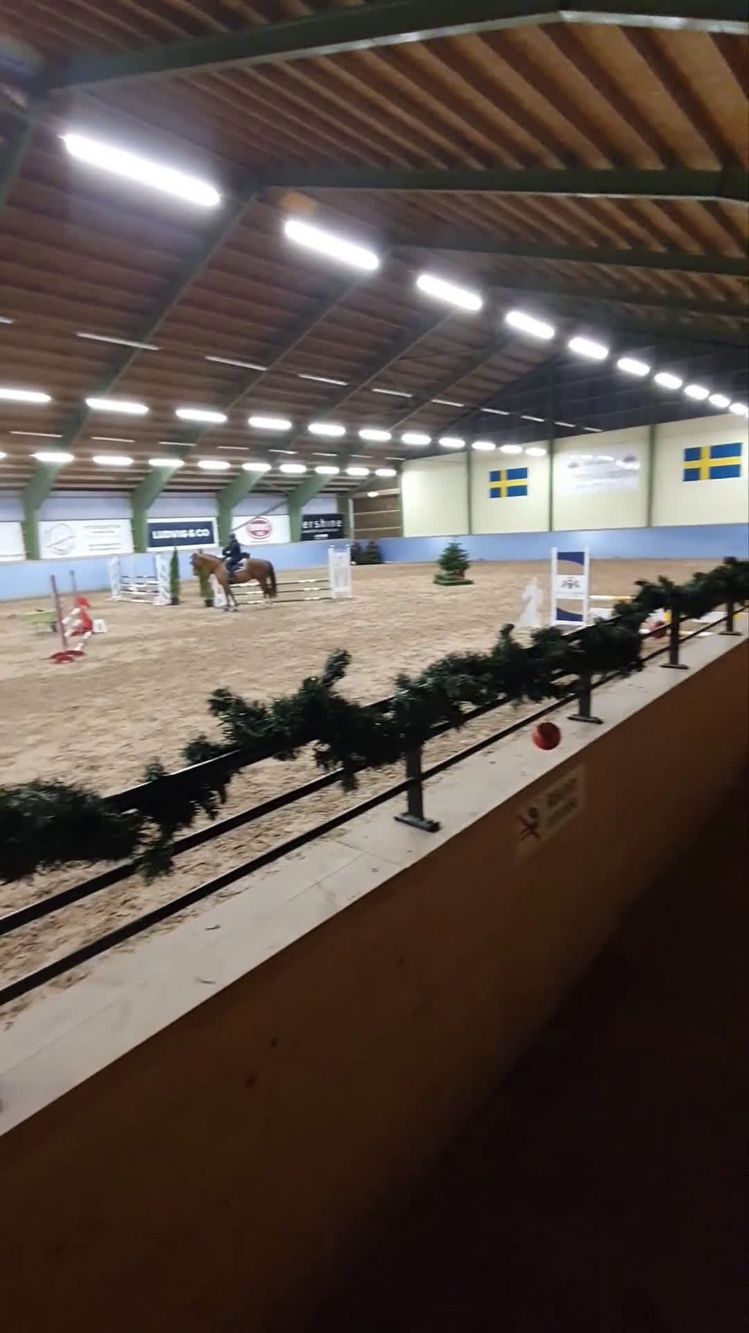 Hoppning hästar till salu: SWB valack söker ryttare i Skövde - Video 1
