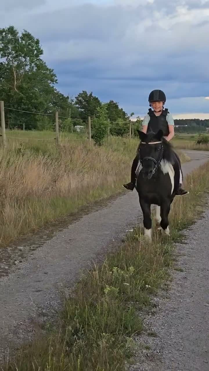 Körning hästar till salu: *reserverad* Snällaste ponnyn - Video 5