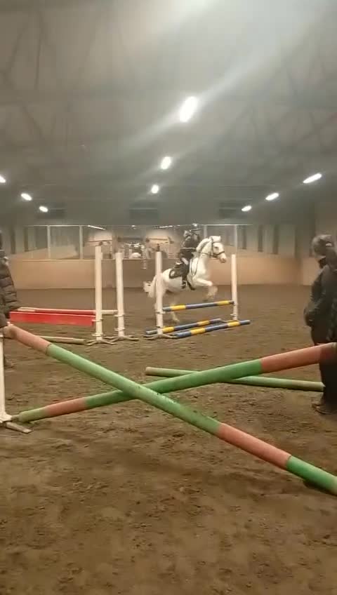 Allround hästar sökes: Söker snäll och mysig häst - Video 5