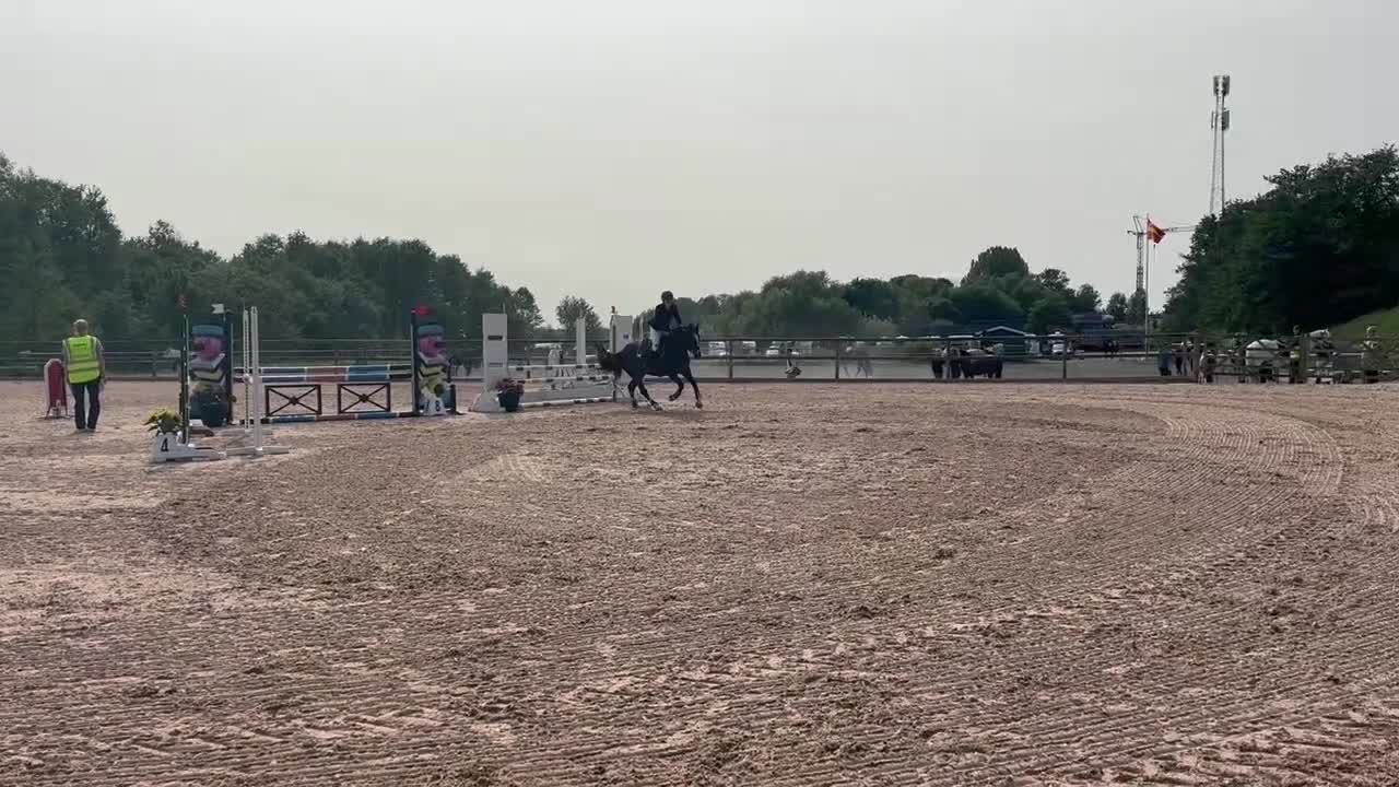 Allround hästar till salu: Rocky road letar nytt hem - Video 2
