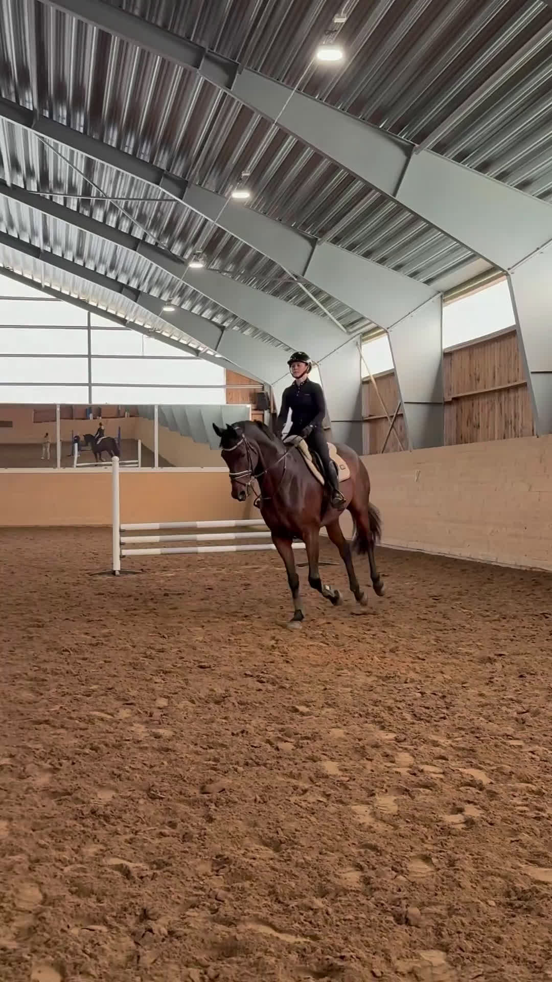 Dressyr hästar till salu: Snygg Dressyrhäst  i Märsta - Video 2