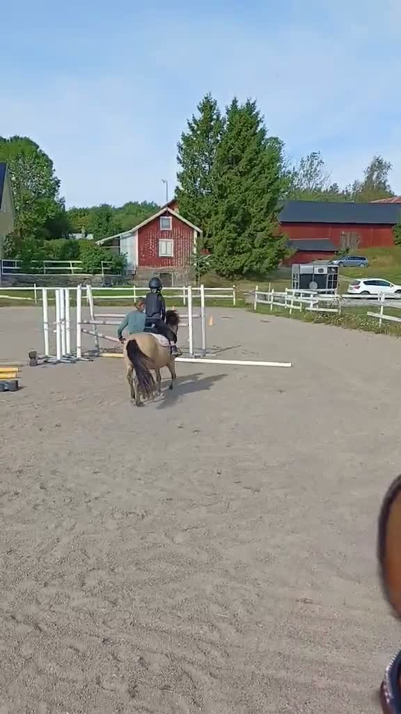Allround hästar till salu: B-ponny som vill ha kul - Video 2