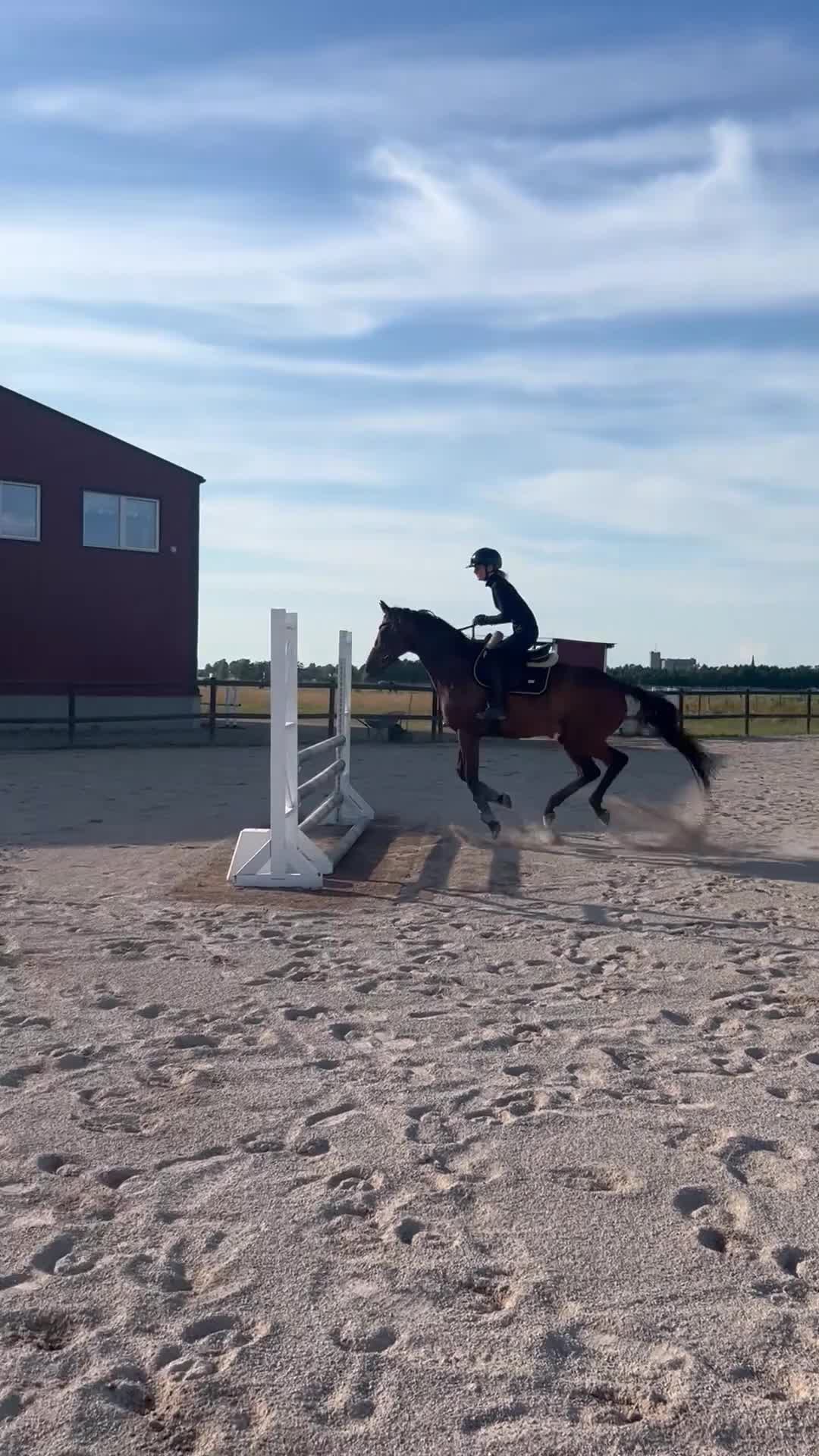 Allround hästar till salu: Fin 12-årig valack söker långsiktigt hem i Vara - Video 1