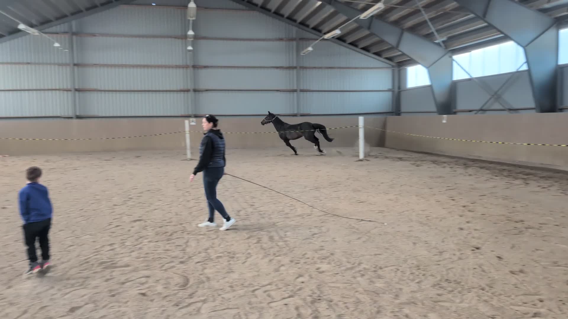 Allround hästar till salu: Fint avelssto/tävlingskompis i Indal - Video 2