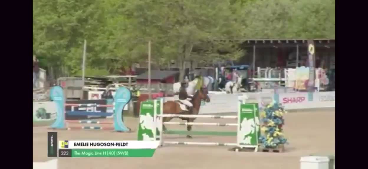 Hoppning hästar till salu: Flashigt hoppsto!   - Video 2