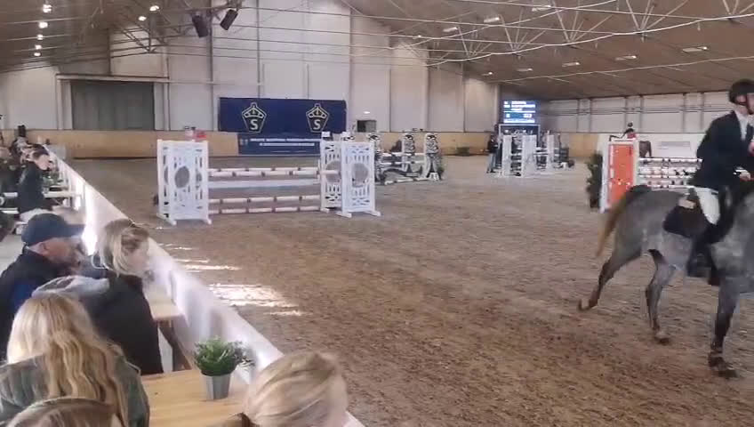 Hoppning hästar till salu: Fin häst med kapacitet! i Ingelstad - Video 2