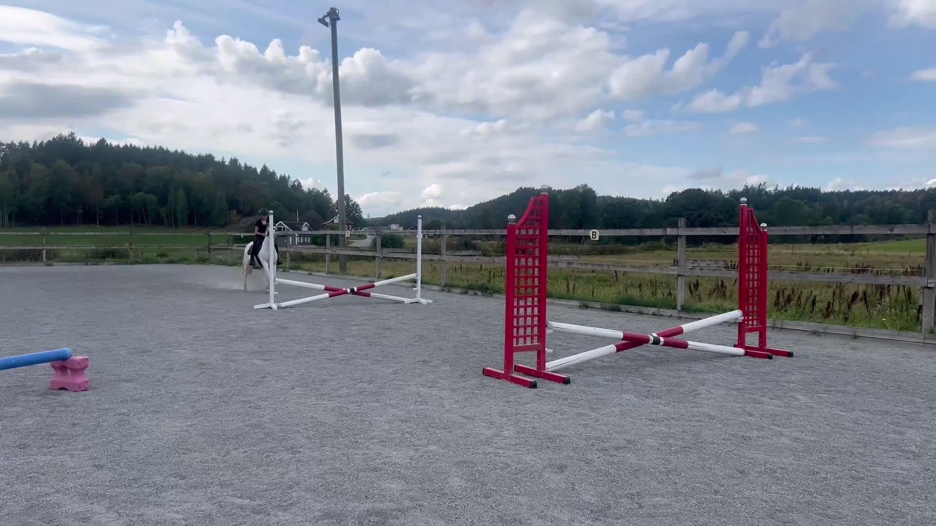 Hoppning hästar till salu: C-ponny ⭐️ i Bollebygd - Video 3