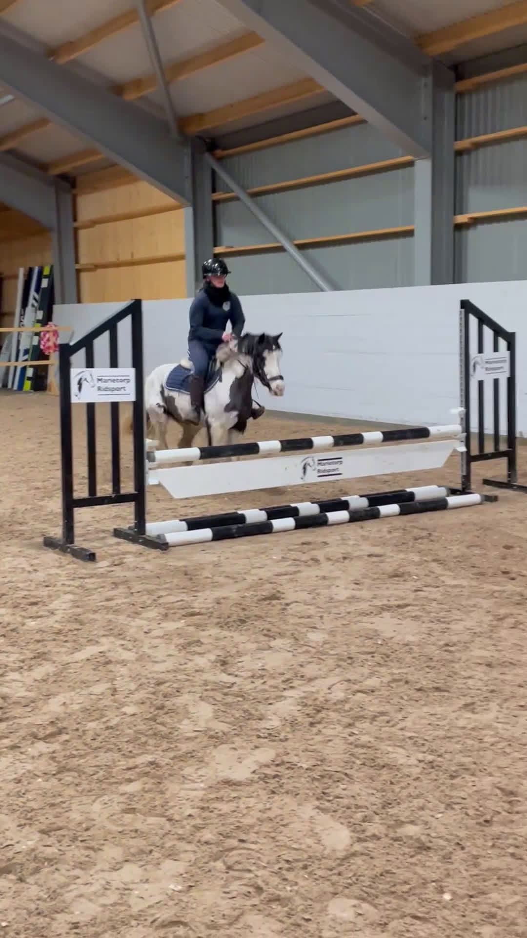 Allround hästar till salu: Superfin ungponny för framtiden! i Arboga - Video 3