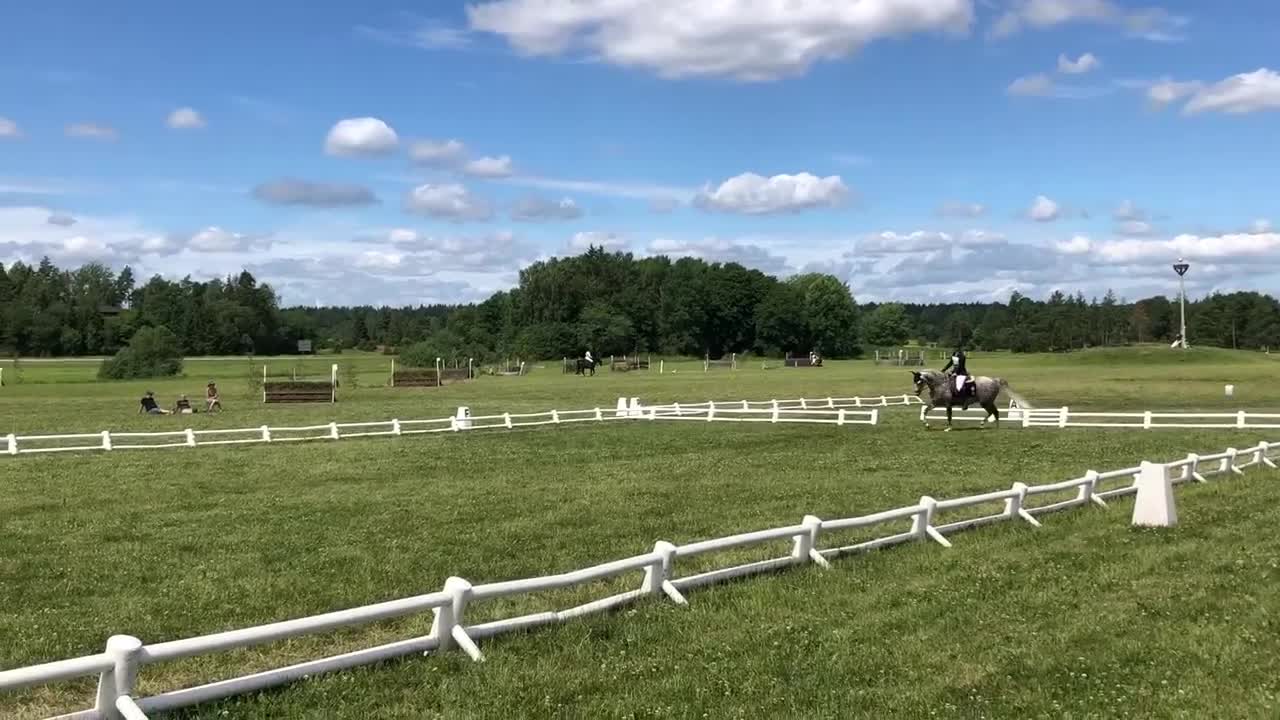 Allround hästar till salu: Läromästare allround i Mullhyttan - Video 4