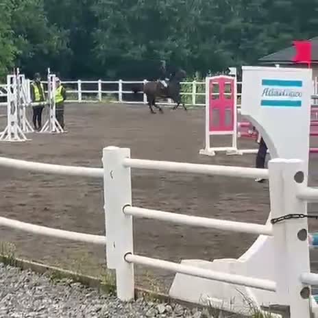 Allround hästar till salu: Maxad D-ponny söker nytt hem  - Video 2