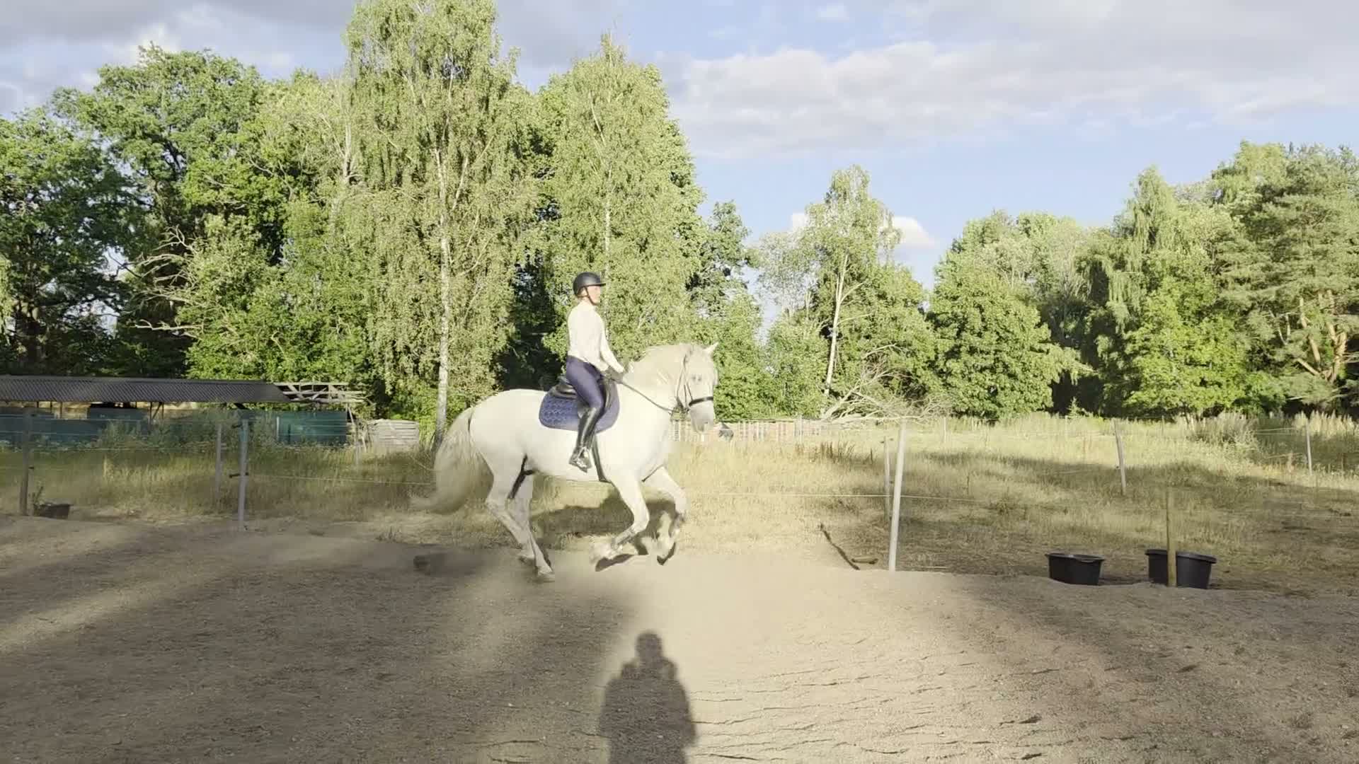 Allround hästar till salu: PRE Valack 10 år i Norrköping - Video 1