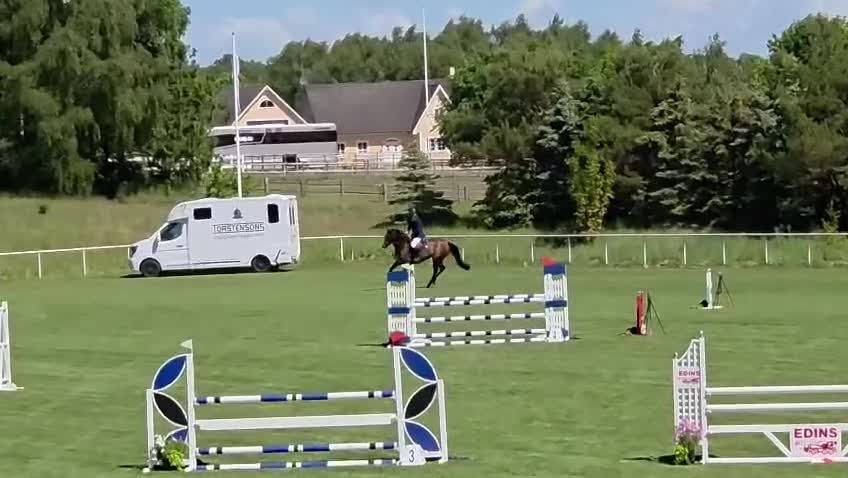 Hoppning hästar till salu: Härligt hoppsto för framtiden - Video 1